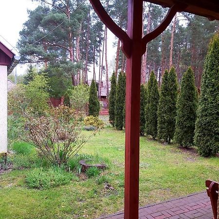Appartement Drzewosfera à Wilcze  Extérieur photo