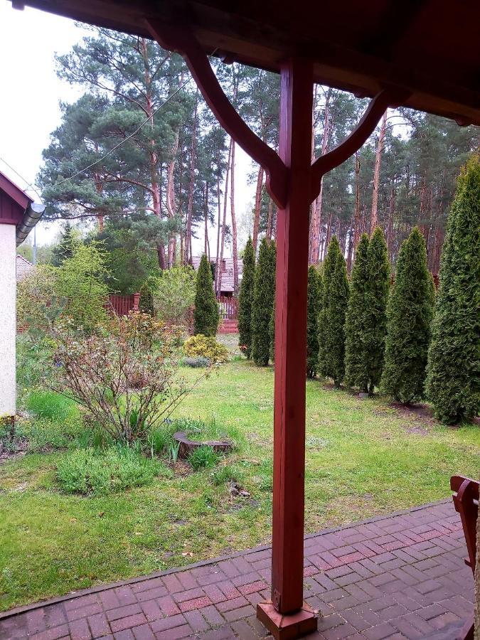 Appartement Drzewosfera à Wilcze  Extérieur photo