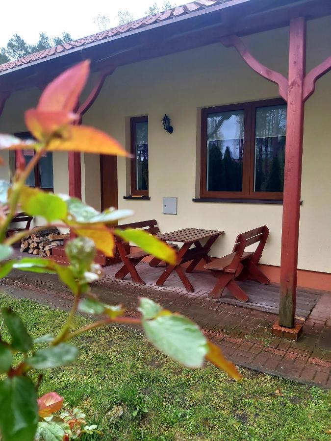 Appartement Drzewosfera à Wilcze  Extérieur photo
